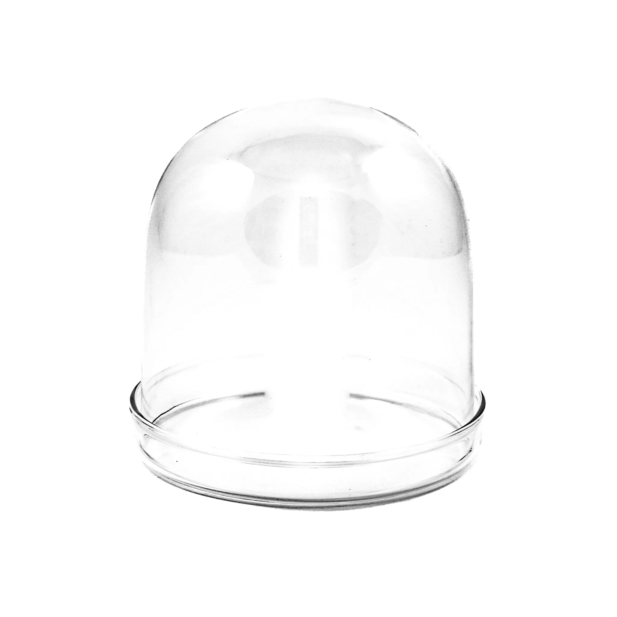 2 x Large Domed Glass Cloche, 11cm dia