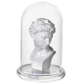 Bust in Glass Cloche