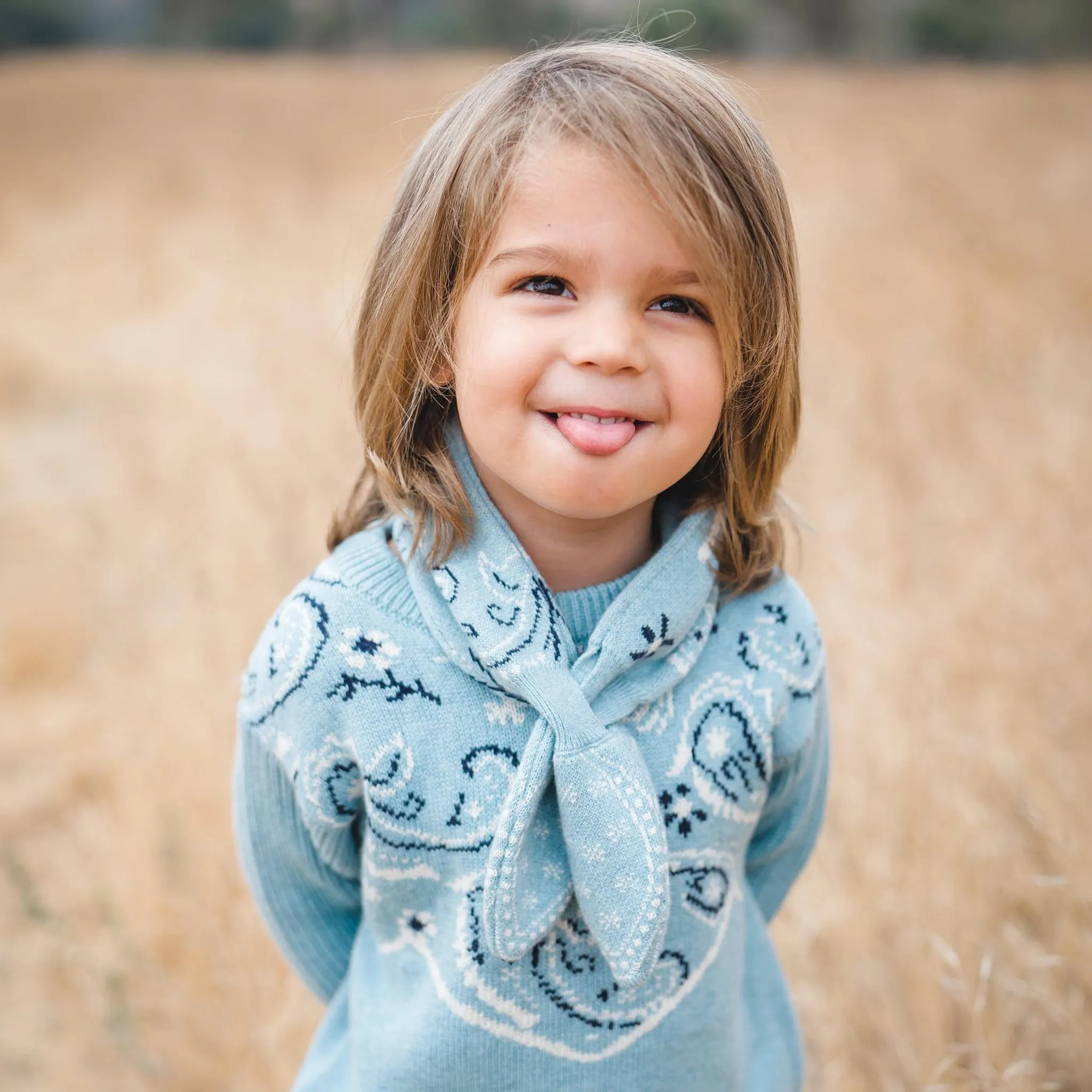 Chambray Bandana Neckerchief