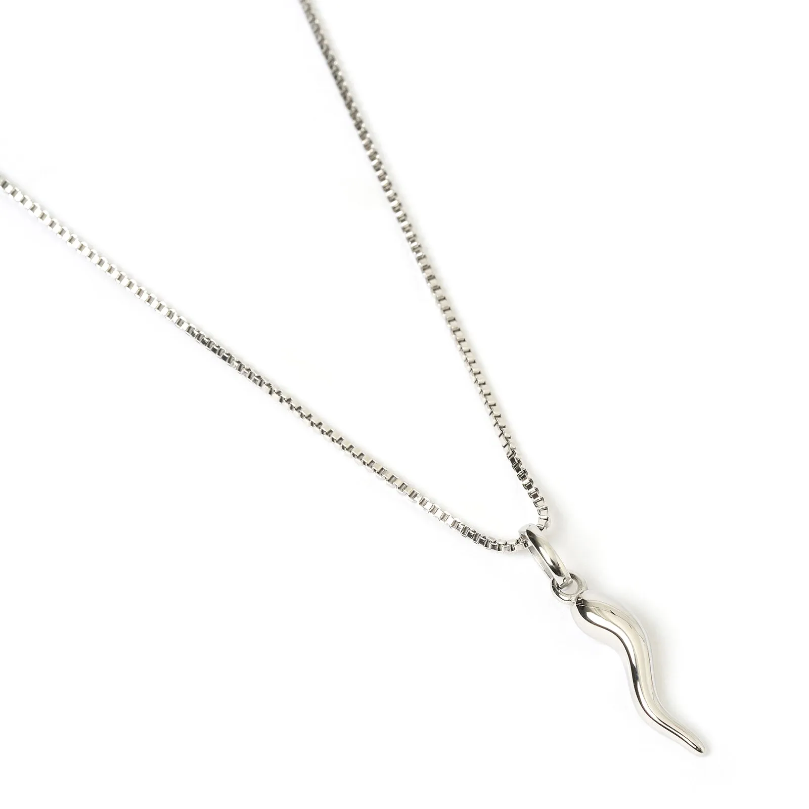 Cornicello Silver Charm Necklace